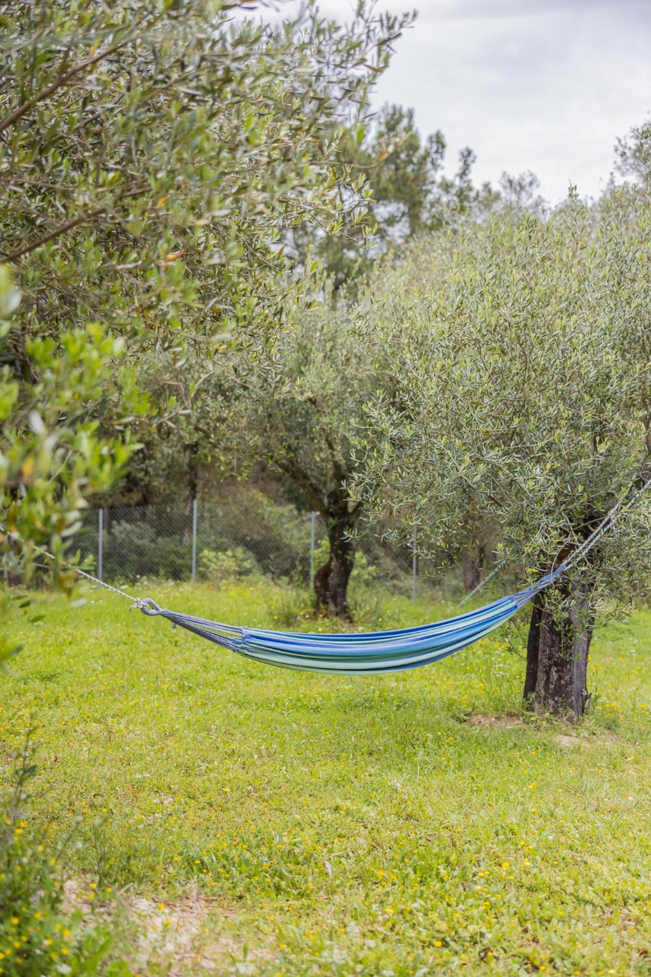 Giannádes Holiday Home Matthaeus Am Corfutrail, Ferienoase Im Olivenhain 3 Km Zum Meer מראה חיצוני תמונה
